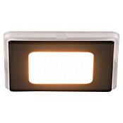 Trio Lighting Foco empotrable Nimbus (Negro, L x An x Al: 8 x 8 x 3 cm, Blanco cálido) | BAUHAUS