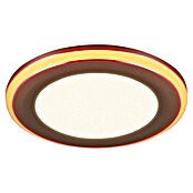 Trio Lighting Foco LED empotrable Argus (RGB, Diámetro: 8 cm, Cromo) | BAUHAUS