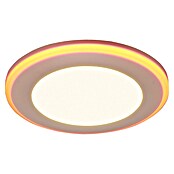 Trio Lighting Foco LED empotrable Argus (RGB, Diámetro: 8 cm, Blanco) | BAUHAUS
