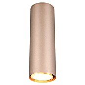 Trio Lighting Marley Aplique de pared (35 W, Marrón, GU10, 2 ud.) | BAUHAUS