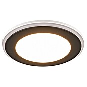 Trio Lighting Foco LED empotrable Argus (RGB, Diámetro: 8 cm, Negro) | BAUHAUS