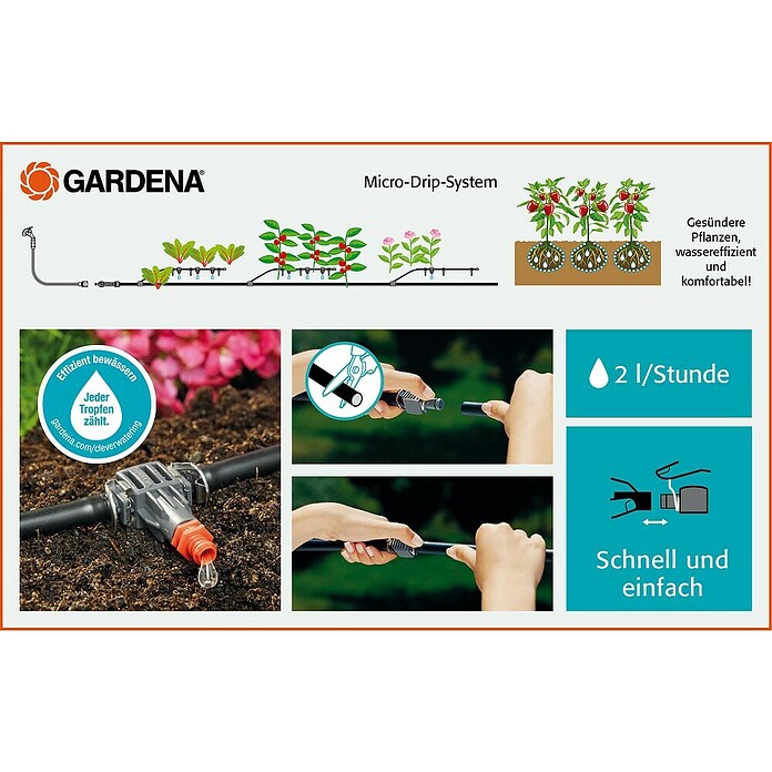 dihexa peptide uses Dihexa (PNB-0408) | c-Met/HGFR Activator