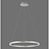 Just Light Ritus LED viseća svjetiljka  (28 W, Topla bijela) | BAUHAUS