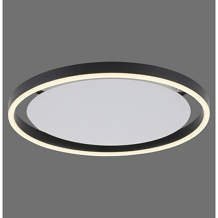 Just Light Ritus Plafón LED redondo (L x An x Al: 39,3 x 39,3 x 5,3 cm, Blanco cálido) | BAUHAUS