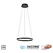 Just Light Ritus Led-hanglamp Ritus Zwart (20 W, Antraciet, Warm wit) | BAUHAUS