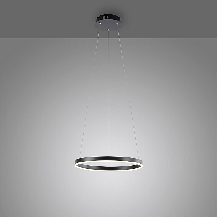 Just Light Ritus Led-hanglamp Ritus Zwart (20 W, Antraciet, Warm wit) | BAUHAUS