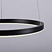 Just Light Ritus Led-hanglamp Ritus Zwart (20 W, Antraciet, Warm wit) | BAUHAUS