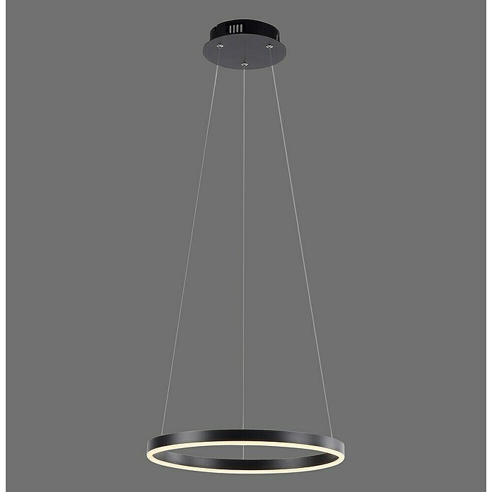 Just Light Ritus Lámpara colgante LED redonda (20 W, Antracita, Blanco cálido) | BAUHAUS
