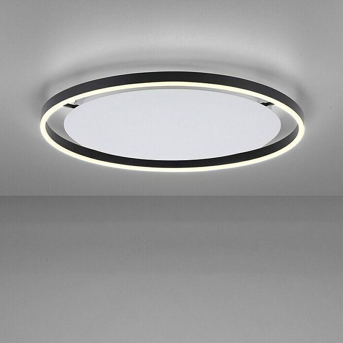 Just Light Ritus Plafón LED redondo (L x An x Al: 58,5 x 58,5 x 5,3 cm, Blanco cálido) | BAUHAUS