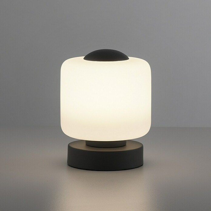 Just Light Lámpara de sobremesa LED Bota (5 W, L x An x Al: 12 x 12 x 15,5 cm, Negro, Blanco cálido) | BAUHAUS