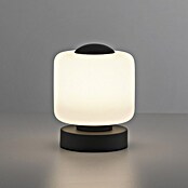 Just Light Lámpara de sobremesa LED Bota (5 W, L x An x Al: 12 x 12 x 15,5 cm, Negro, Blanco cálido) | BAUHAUS