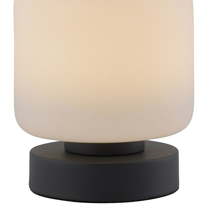 Just Light Led-tafellamp (l x b x h: 120 x 120 x 155 mm, Wit, Warm wit) | BAUHAUS