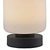Just Light Led-tafellamp (l x b x h: 120 x 120 x 155 mm, Wit, Warm wit) | BAUHAUS