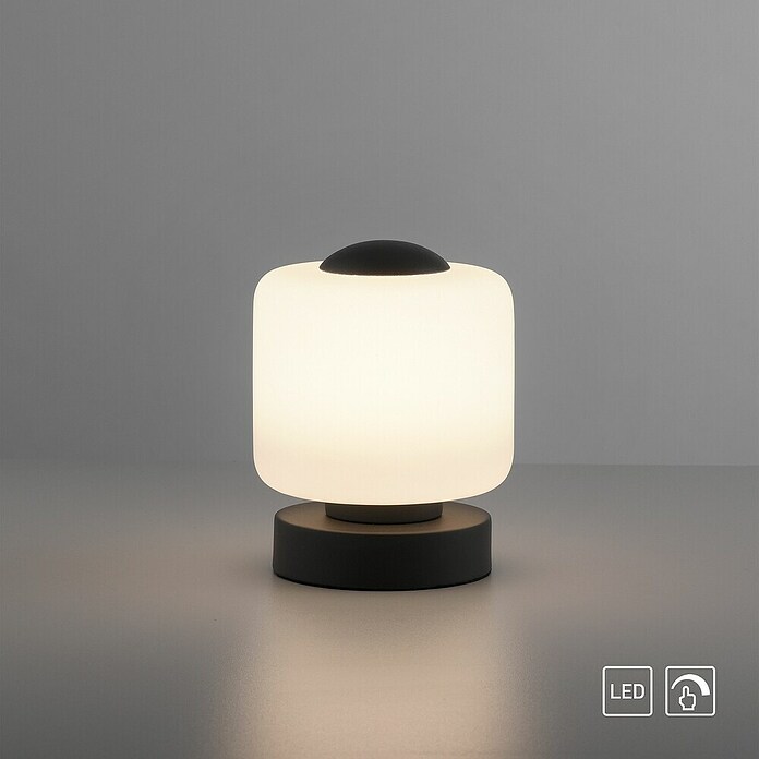 Just Light Led-tafellamp (l x b x h: 120 x 120 x 155 mm, Wit, Warm wit) | BAUHAUS