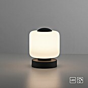 Just Light Led-tafellamp (l x b x h: 120 x 120 x 155 mm, Wit, Warm wit) | BAUHAUS