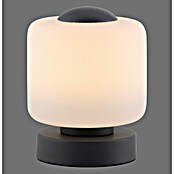 Just Light Lámpara de sobremesa LED Bota (5 W, L x An x Al: 12 x 12 x 15,5 cm, Negro, Blanco cálido) | BAUHAUS