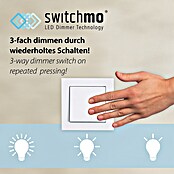 Just Light Ritus LED viseća svjetiljka  (28 W, Topla bijela) | BAUHAUS