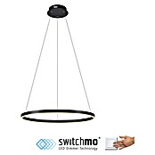 Just Light Led-hanglamp Ritus Zwart (Antraciet, Warm wit) | BAUHAUS