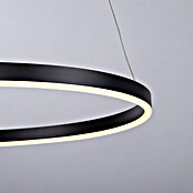 Just Light Led-hanglamp Ritus Zwart (Antraciet, Warm wit) | BAUHAUS