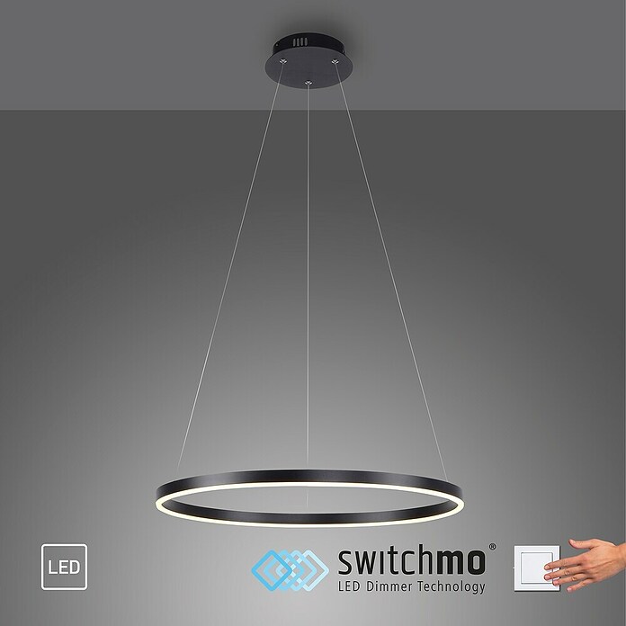 Just Light Led-hanglamp Ritus Zwart (Antraciet, Warm wit) | BAUHAUS