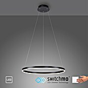 Just Light Led-hanglamp Ritus Zwart (Antraciet, Warm wit) | BAUHAUS