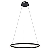 Just Light Led-hanglamp Ritus Zwart (Antraciet, Warm wit) | BAUHAUS