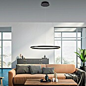 Just Light Led-hanglamp Ritus Zwart (Antraciet, Warm wit) | BAUHAUS