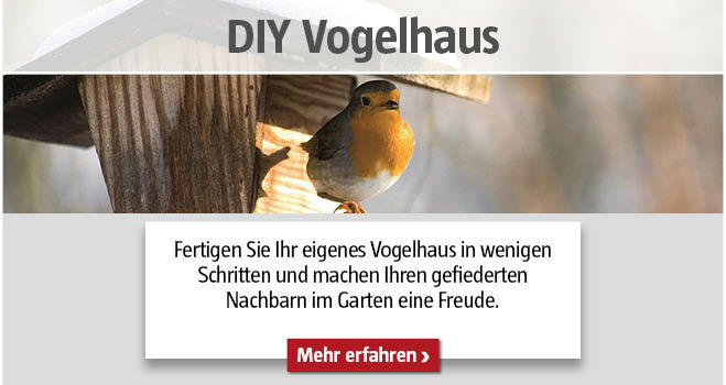 DIY Vogelhaus