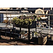 Upyard Huerto Modernbox alto (78 x 36 x 72 cm, Madera, Negro) | BAUHAUS