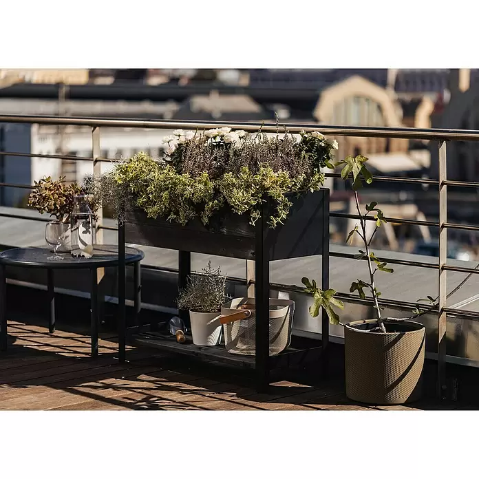 Upyard Hochbeet Modernbox hoch - 78 x 36 x 72 cm, Holz, Schwarz - Schwarzes Hochbeet mit verschiedenen Pflanzen auf sonniger Balkonterrasse.