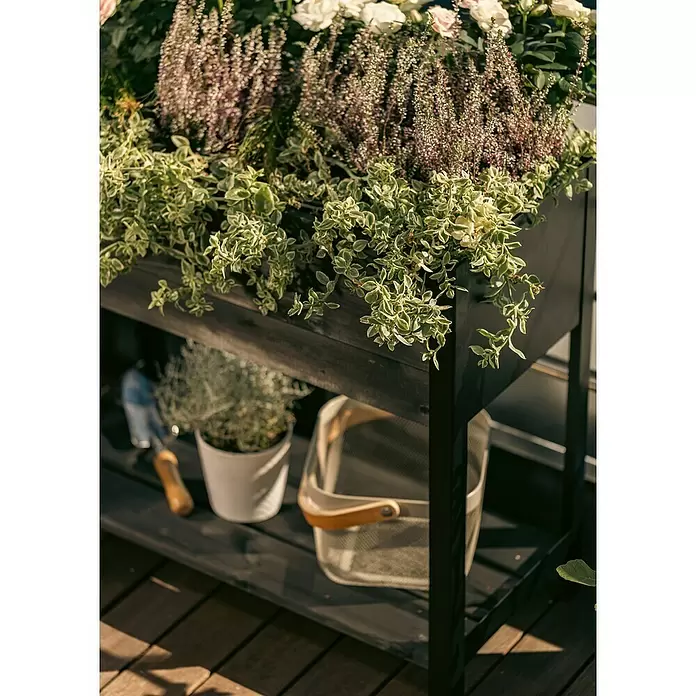 Upyard Hochbeet Modernbox hoch - 78 x 36 x 72 cm, Holz, Schwarz - Dunkles Hochbeet aus Holz, bepflanzt mit Hängepflanzen und Heidekraut, mit Ablage für Gartengeräte und Korb.