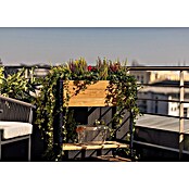 Upyard Huerto Modernbox alto (78 x 36 x 72 cm, Madera, Marrón) | BAUHAUS
