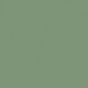 swingcolor 2in1 Flüssigkunststoff RAL 6011 (Resedagrün, 750 ml, Seidenmatt)