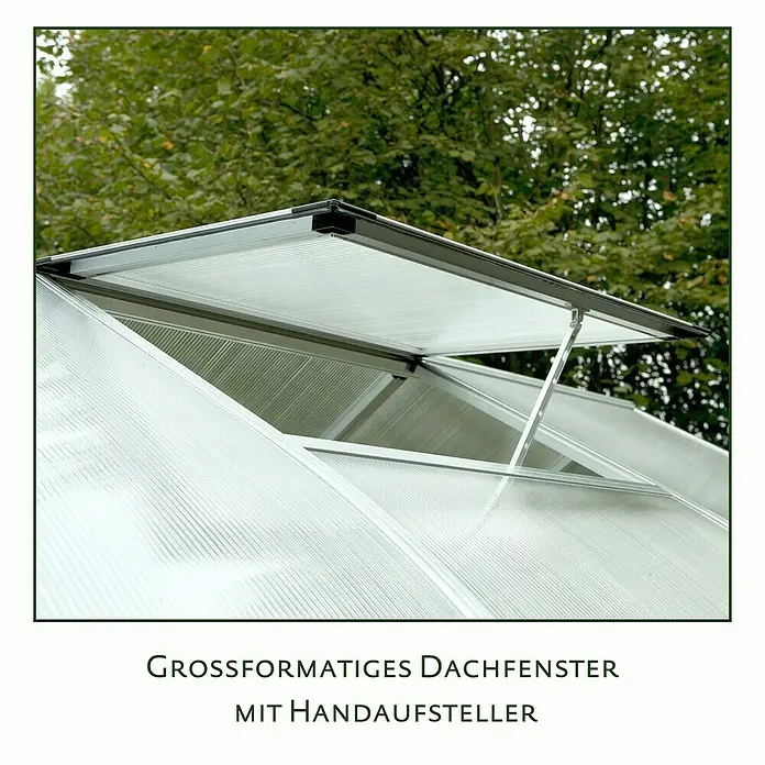 KGT Gewächshaus Rhodo IV - Außenmaß inkl. Dachüberstand (B x T): 227 x 300 cm, 6 mm, Pressblank - Großes Dachfenster mit Handaufsteller für ein Gewächshaus, das eine optimale Belüftung ermöglicht.