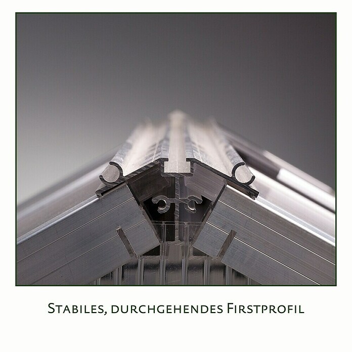KGT Gewächshaus Dahlie IV (Außenmaß inkl. Dachüberstand (B x T): 297 x 429 cm, Material Seitenwand: Kunststoff, 16 mm, Tannengrün) | BAUHAUS