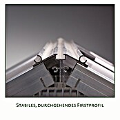 KGT Gewächshaus Dahlie IV (Außenmaß inkl. Dachüberstand (B x T): 297 x 429 cm, Material Seitenwand: Kunststoff, 16 mm, Tannengrün) | BAUHAUS