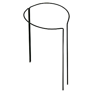 Bellissa Pflanzenstütze (2 Stk., Geeignet für: Blumentöpfe Ø 12 bis 20 cm, L x B: 25 x 10 cm)