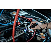 Nebo Tools Taschenlampe Torchy (250 lm, IPX4) | BAUHAUS