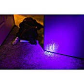 Nebo Tools Taschenlampe Torchy (250 lm, IPX4) | BAUHAUS