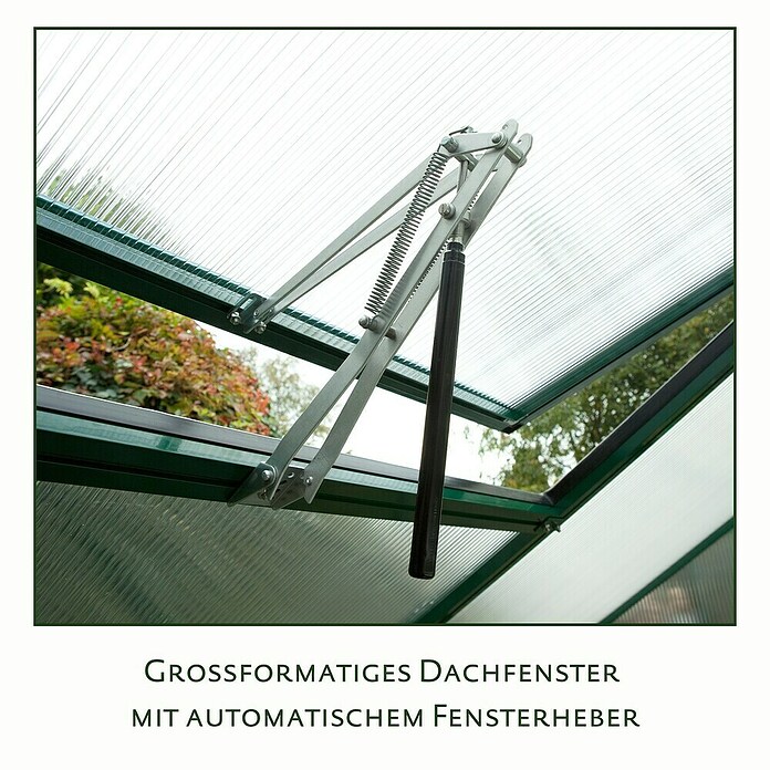 KGT Gewächshaus Dahlie IV (Außenmaß inkl. Dachüberstand (B x T): 297 x 429 cm, Material Seitenwand: Kunststoff, 16 mm, Tannengrün) | BAUHAUS