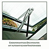 KGT Gewächshaus Dahlie IV (Außenmaß inkl. Dachüberstand (B x T): 297 x 429 cm, Material Seitenwand: Kunststoff, 16 mm, Tannengrün) | BAUHAUS