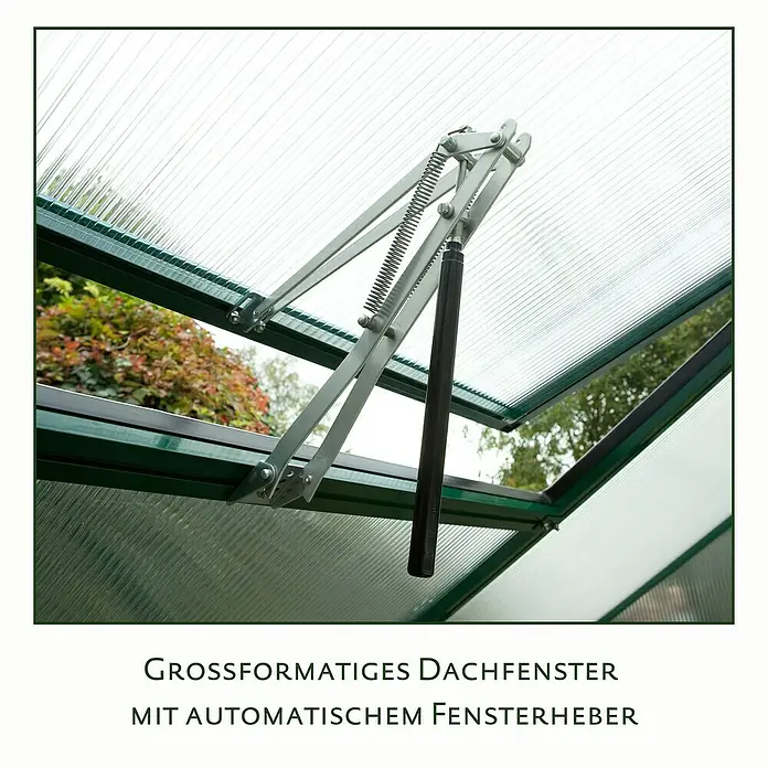 KGT Gewächshaus Rose III - Außenmaß inkl. Dachüberstand (B x T): 233 x 323 cm, 10 mm, Anthrazitgrau - Großformatiges Dachfenster mit automatischem Fensterheber für Gewächshäuser.