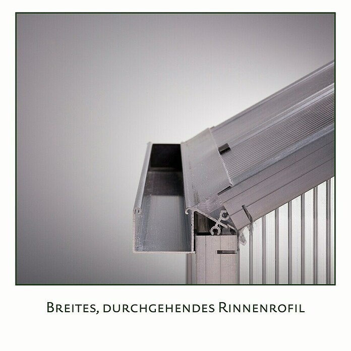 KGT Gewächshaus Dahlie IV (Außenmaß inkl. Dachüberstand (B x T): 297 x 429 cm, Material Seitenwand: Kunststoff, 16 mm, Tannengrün) | BAUHAUS