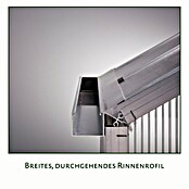 KGT Gewächshaus Dahlie IV (Außenmaß inkl. Dachüberstand (B x T): 297 x 429 cm, Material Seitenwand: Kunststoff, 16 mm, Tannengrün) | BAUHAUS