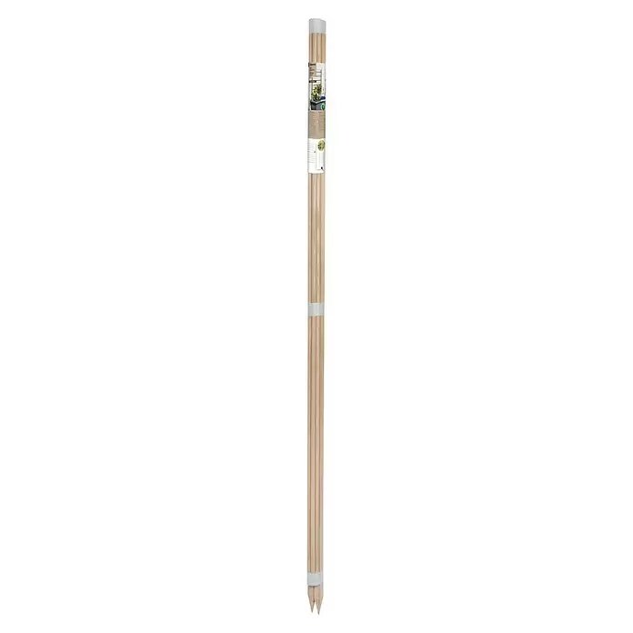 Windhager Rankhilfe - B x H: 80 x 170 cm, Holz - Helle Holz-Gartenstäbe, gebündelt mit Verpackung, die eine Rankhilfe zeigt.
