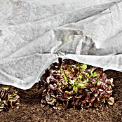 Windhager Frühbeetvlies Öko (L x B: 10 x 1,5 m, Weiß)