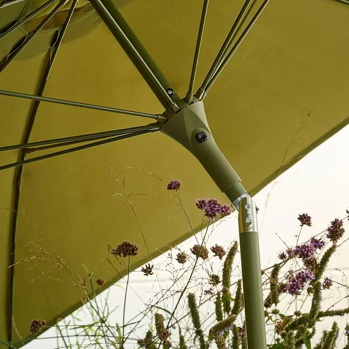 Siena Garden Marktschirm rund Paolo - Olive, Durchmesser Bespannung: 270 cm - Nahaufnahme eines grünen Sonnenschirms mit Pflanzen im Vordergrund.