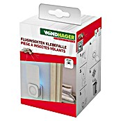 Windhager Klebefalle Fluginsekten UV (Weiß) | BAUHAUS