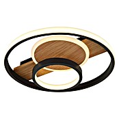 Globo LED-Deckenleuchte Pikara (24 W, Ø x H: 34,5 x 6 cm, Braun/Schwarz, Warmweiß) | BAUHAUS