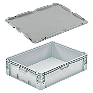 Surplus Systems Caja de almacenaje Eurobox (L x An x Al: 80 x 60 x 22 cm, Capacidad volumétrica: 90 l, Plástico)